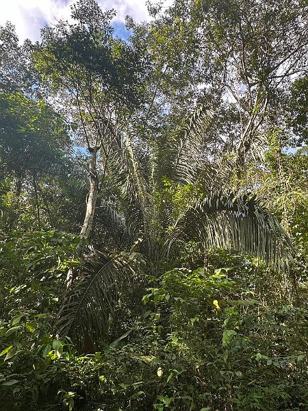 244_Panama.JPG