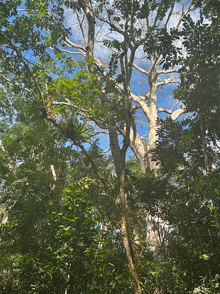 245_Panama.JPG
