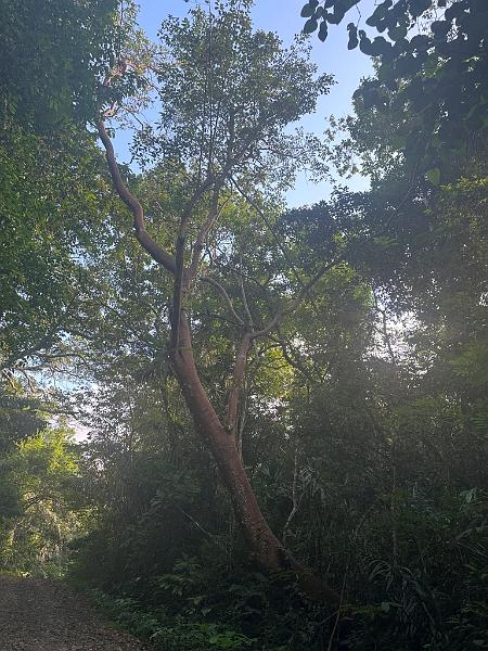 246_Panama.JPG