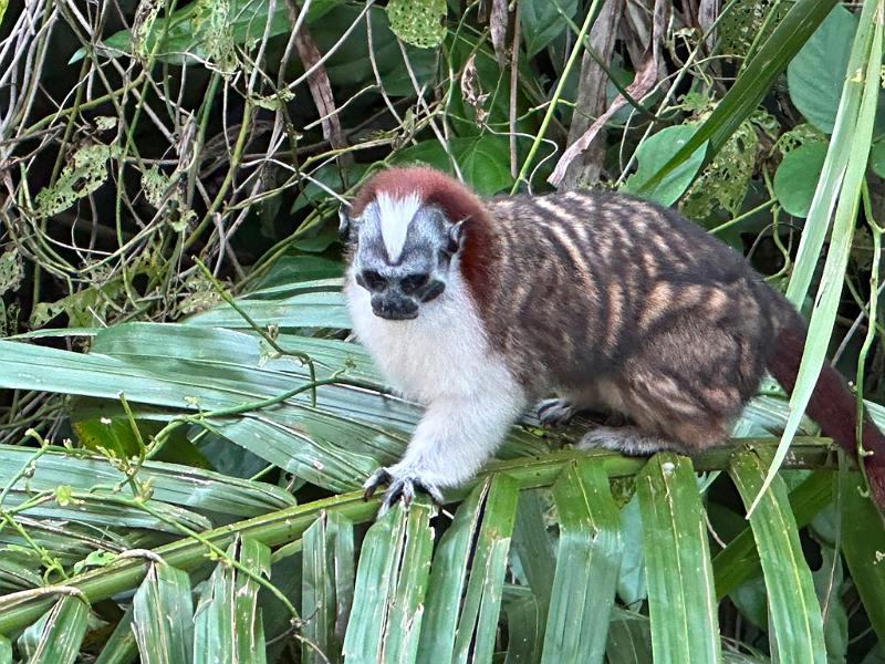 262_Panama.JPG