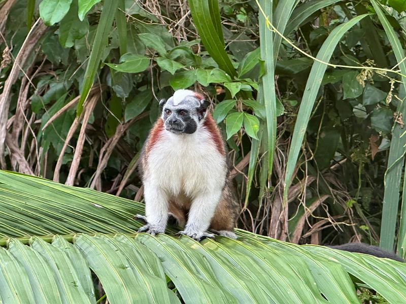 264_Panama.JPG