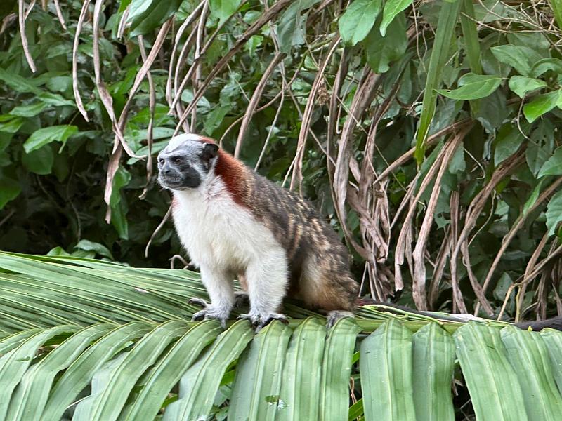 265_Panama.JPG