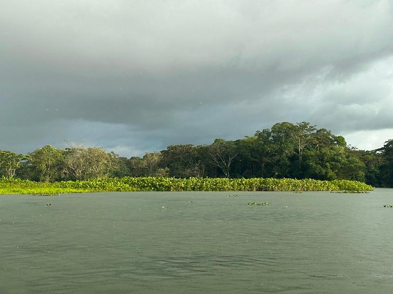 266_Panama.JPG