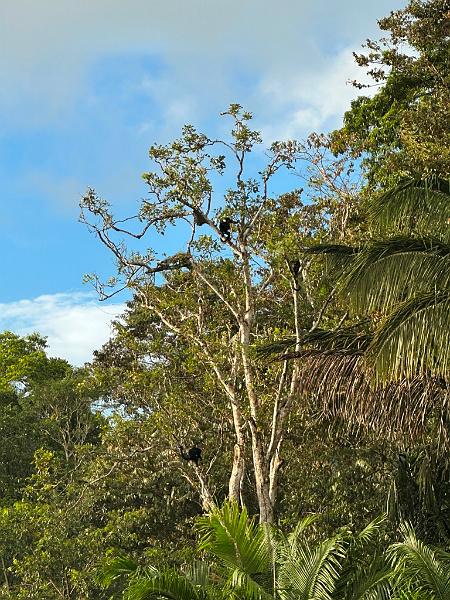 275_Panama.JPG