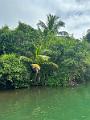 012_Panama_Rio_Chiwaldi