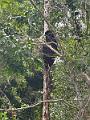 017_Panama_Rio_Chiwaldi