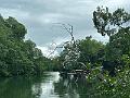 020_Panama_Rio_Chiwaldi