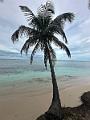 046_Panama_Holandes_Cay_Beach