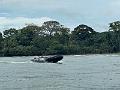 061_Panama_San_Lorenzo_Fort