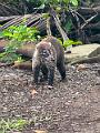 062_Panama_San_Lorenzo_Fort
