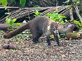 063_Panama_San_Lorenzo_Fort