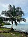 096_Panama_San_Lorenzo_Fort