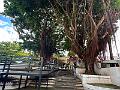 155_Panama_City_Casco_Viejo