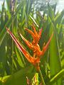 199_Panama_City_Amador_Biomuseo