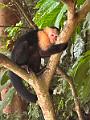 252_Panama