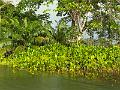 269_Panama