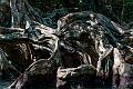 109_Ponant_Best_of