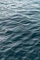 127_Ponant_Best_of