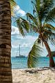 184_Ponant_Best_of