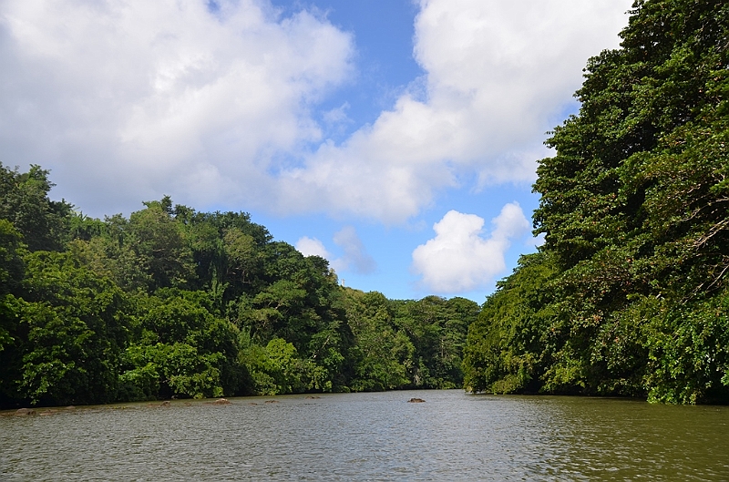 030_Mauritius_East_Grand_River_South_East_Waterfall.JPG
