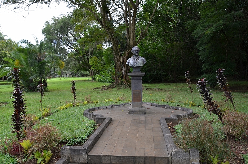 060_Mauritius_North_Sir_Seewoosagur_Ramgoolam_Botanical_Gardens10.JPG