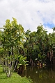 063_Mauritius_North_Sir_Seewoosagur_Ramgoolam_Botanical_Gardens13