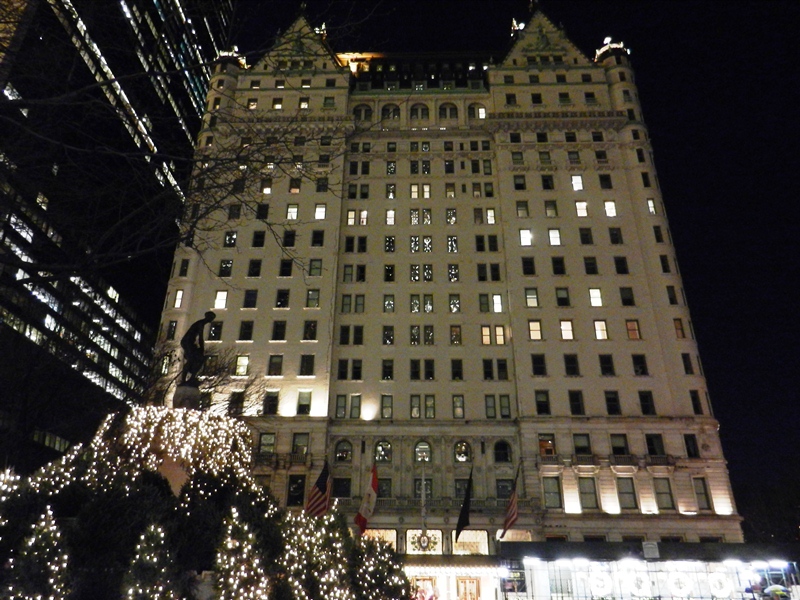 181_New_York_The_Plaza.JPG