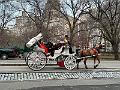 113_USA_New_York_City