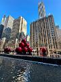 202_USA_New_York_City