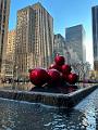 203_USA_New_York_City