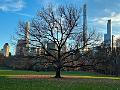 228_USA_New_York_City_Central_Park