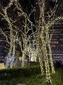 240_USA_New_York_City