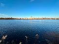 260_USA_New_York_City_Central_Park