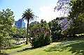 052_New_Zealand_Auckland_Albert_Park