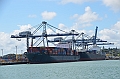 089_New_Zealand_Auckland