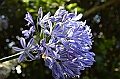 105_New_Zealand_Auckland_Devenport_Mt_Victoria