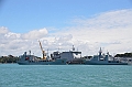 115_New_Zealand_Auckland