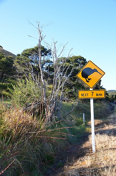 010_New_Zealand_Coromandel_Peninsula.JPG