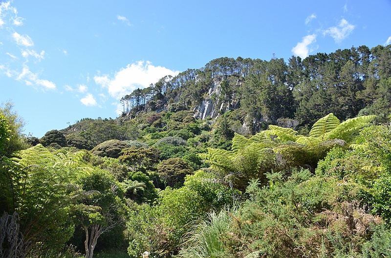 039_New_Zealand_Coromandel_Peninsula.JPG