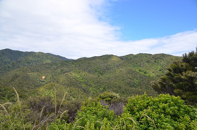 088_New_Zealand_Coromandel_Peninsula.JPG