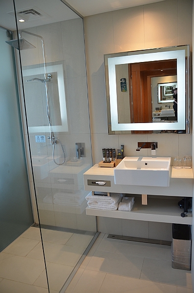 139_New_Zealand_Novotel_Airport.JPG