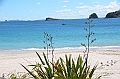 053_New_Zealand_Coromandel_Peninsula