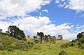 059_New_Zealand_Coromandel_Peninsula