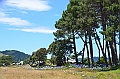 067_New_Zealand_Coromandel_Peninsula_Cooks_Beach