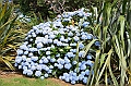 091_New_Zealand_Coromandel_Peninsula