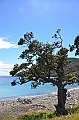 099_New_Zealand_Coromandel_Peninsula_Stony_Bay