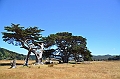 113_New_Zealand_Coromandel_Peninsula_Waikawau_Bay