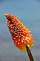 122_New_Zealand_Coromandel_Peninsula_Kennedy_Bay