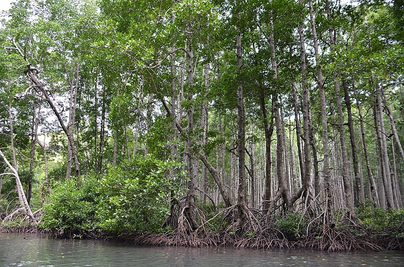 079_Papua_New_Guinea_Tufi.JPG