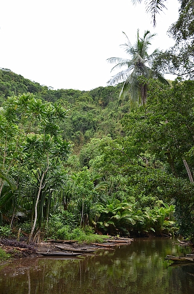 092_Papua_New_Guinea_Tufi.JPG